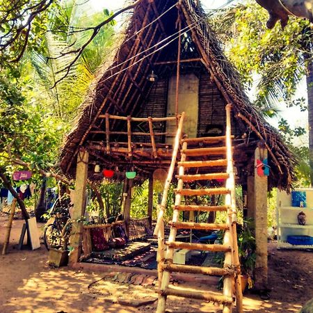 Peace Garden Inn ออโรวิลล์ ภายนอก รูปภาพ